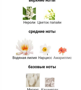 Миниатюра-' ~ 3 ~ '