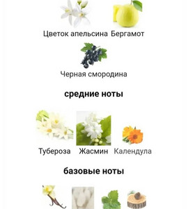 Миниатюра-' ~ 3 ~ '